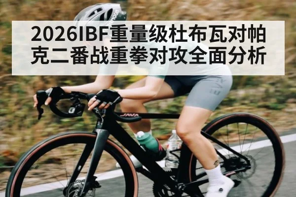 2026IBF重量级杜布瓦对帕克二番战重拳对攻全面分析